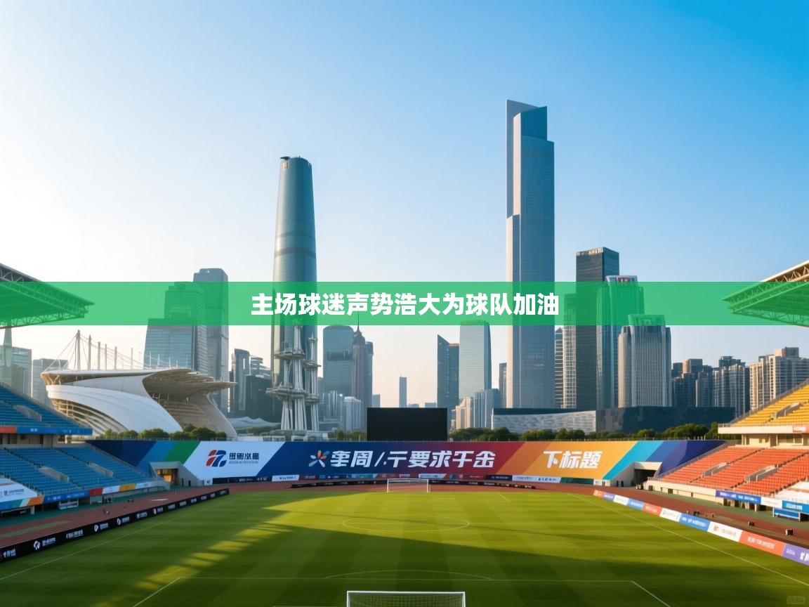 主场球迷声势浩大为球队加油  第1张