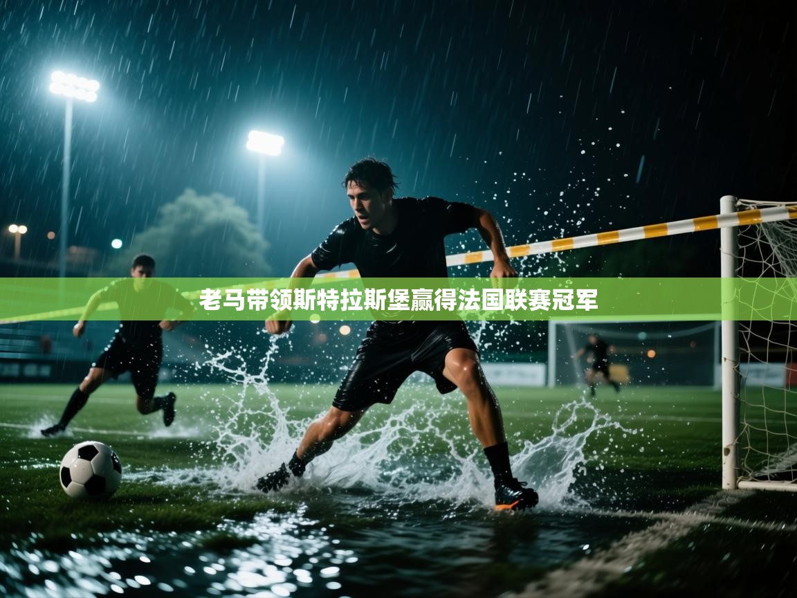 老马带领斯特拉斯堡赢得法国联赛冠军  第1张