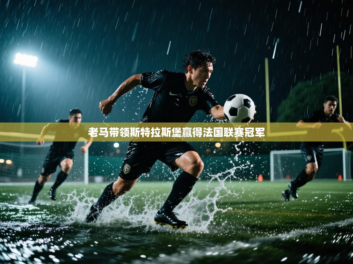 老马带领斯特拉斯堡赢得法国联赛冠军  第2张