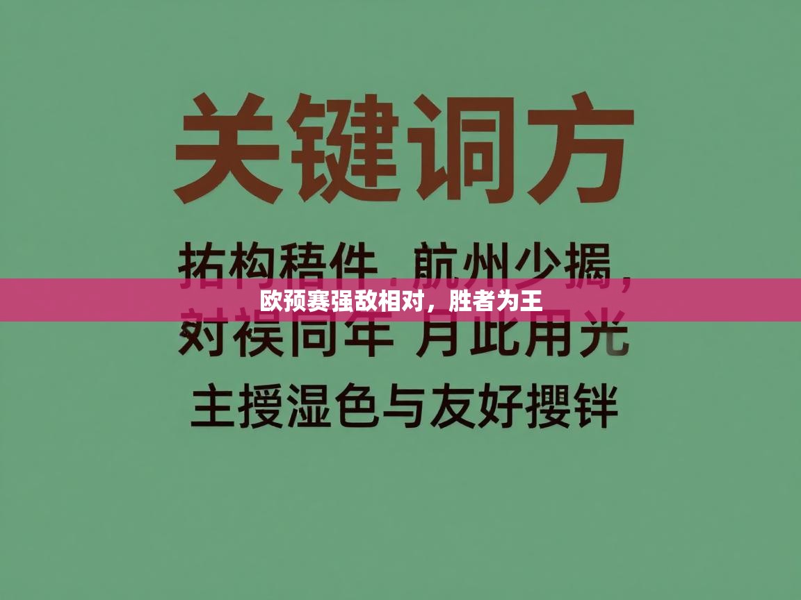 欧预赛强敌相对,胜者为王 第1张