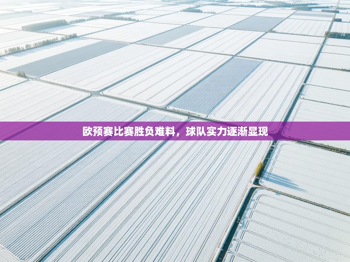 欧预赛比赛胜负难料，球队实力逐渐显现  第1张