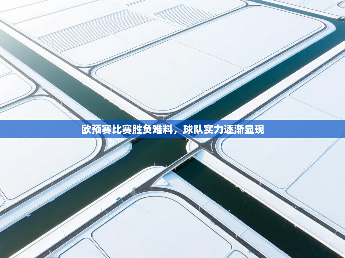 欧预赛比赛胜负难料，球队实力逐渐显现  第2张
