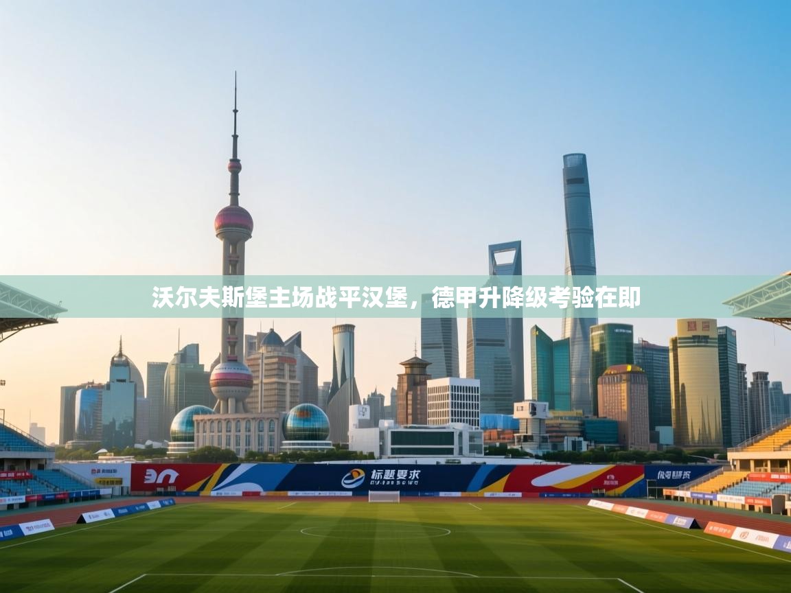 沃尔夫斯堡主场战平汉堡，德甲升降级考验在即  第2张