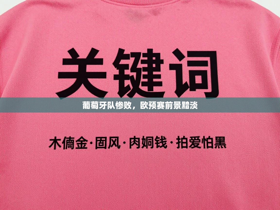 葡萄牙队惨败,欧预赛前景黯淡 第1张